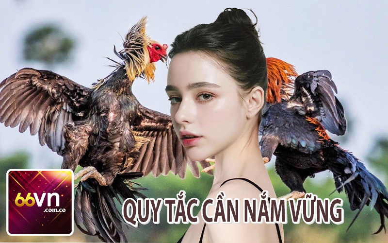 Quy Tắc Cần Nắm Vững